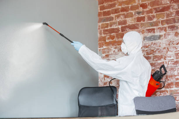 Best Indoor Air Quality Assessment  in Beatrice, NE