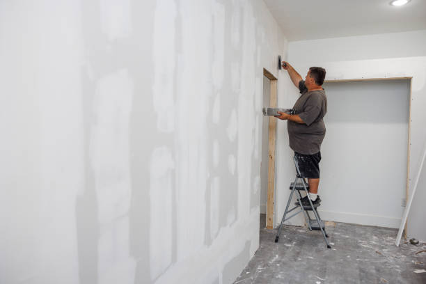 Best Mold Removal for HVAC Installations  in Beatrice, NE