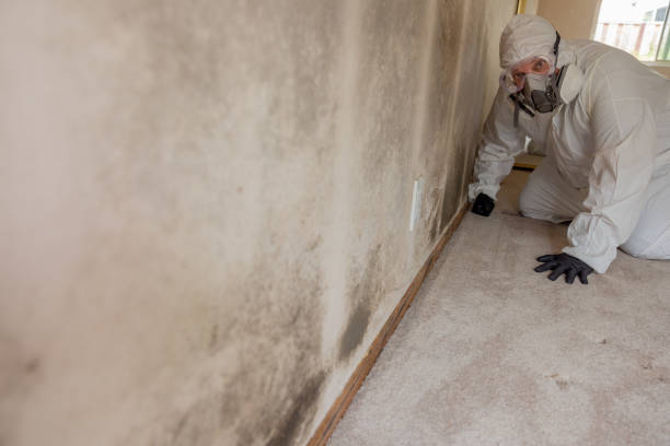 Beatrice, NE Mold Removal Company